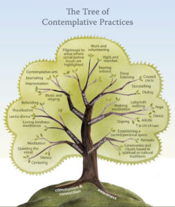 tree of life contemplative practices