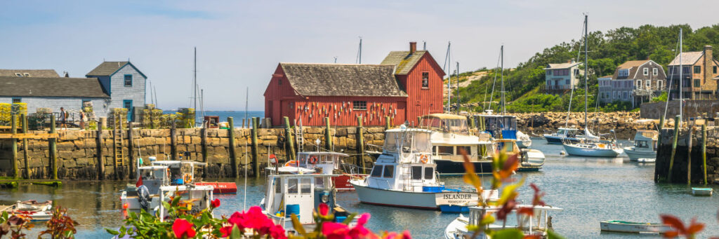 Coastal scene with a harbor filled with several small boats. A prominent red building along the waterfront, reminiscent of the charm found in mental health rehabs in Middlesex County, is surrounded by wooden structures. Flowers in the foreground, clear blue sky, and distant trees complete the picturesque setting.